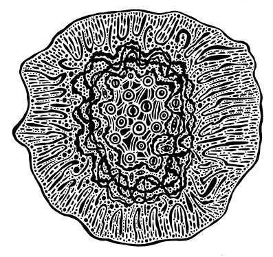 Cabeza_física_recreada_con_cierta_ciencia_física_cuántica_y_con_cierto_acierto._Viernes_19_enero_2024._15.12_h
