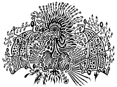 Kukuluka..._es_mi_polla_con_peluca._Jueves_21_marzo_2024._9.30_h