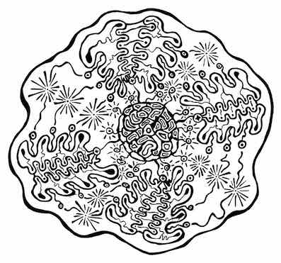 Sistema_Nucleocerebroidal