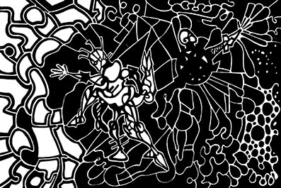 TransformistasDimensionales_72ppp